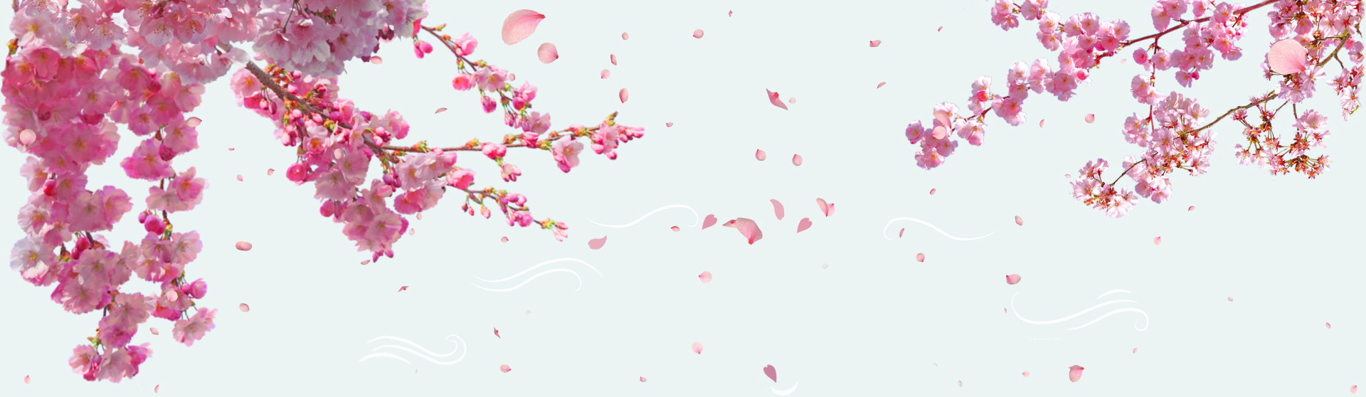 The Sakura Tree - A Holistic Approach to Education