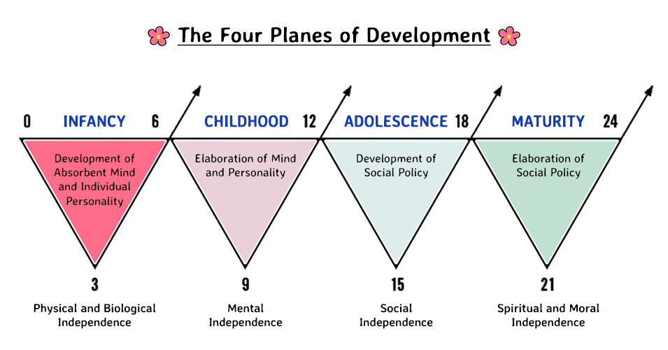 Maria Montessori’s Four Planes of Development